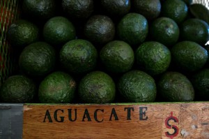 aguacate-mexico-exportacion-estados-unidos-696x461