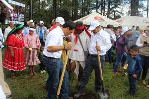 Reforestacion Guachochi TV Azteca y Conafor