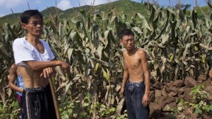 The U.N. says food supplies in North Korea have increased, but citizens who spoke to NPR say many people are going hungry. In this photo from Aug. 13, workers stand next to a field that was damaged by flooding in Songchon County, North Korea.