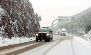 nieve-chihuahua-768x469