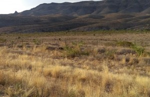 Peligran usuarios en carretera por omisión de gobierno 1